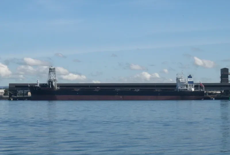 OCEAN APHRODITE Bulk Carrier IMO 9534999 photo 2