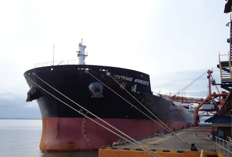 OCEAN APHRODITE Bulk Carrier IMO 9534999 photo 4