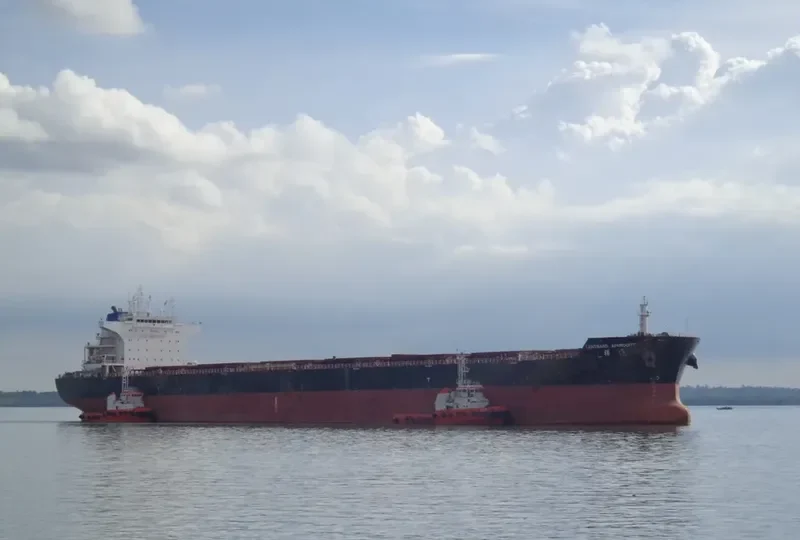 OCEAN APHRODITE Bulk Carrier IMO 9534999 photo 6