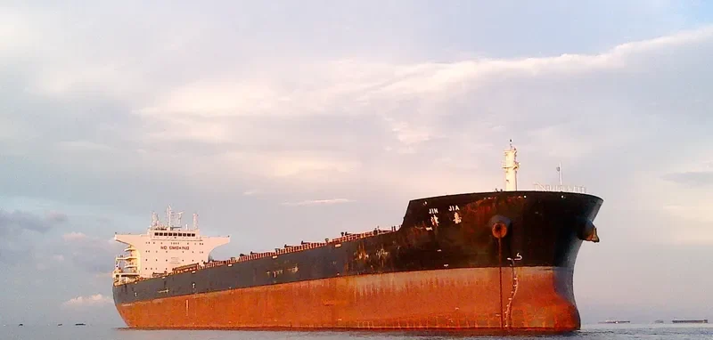 JIN JIA Bulk Carrier IMO 9535010 photo 3
