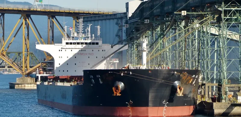 JIN JIA Bulk Carrier IMO 9535010 photo 5