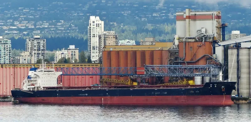 JIN JIA Bulk Carrier IMO 9535010 photo 8