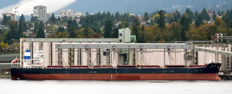 JIN JIA Bulk Carrier IMO 9535010 photo 10