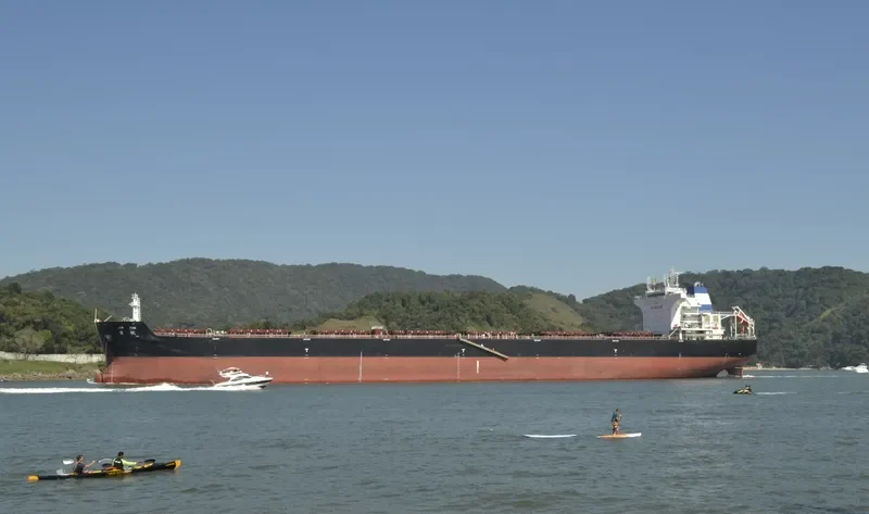JIN FAN Bulk Carrier IMO 9535022 photo 5