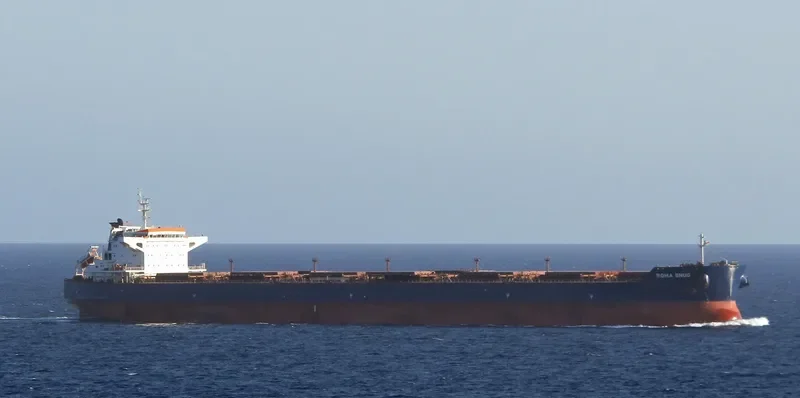 REGINA OLDENDORFF Bulk Carrier IMO 9535242 photo 3
