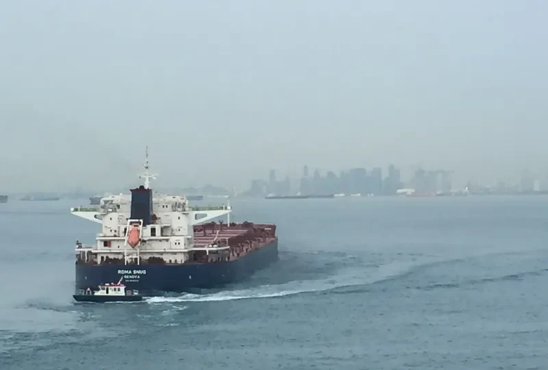 REGINA OLDENDORFF Bulk Carrier IMO 9535242 photo 4