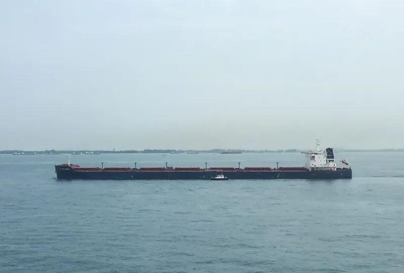 REGINA OLDENDORFF Bulk Carrier IMO 9535242 photo 5