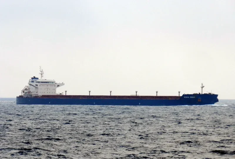REGINA OLDENDORFF Bulk Carrier IMO 9535242 photo 6