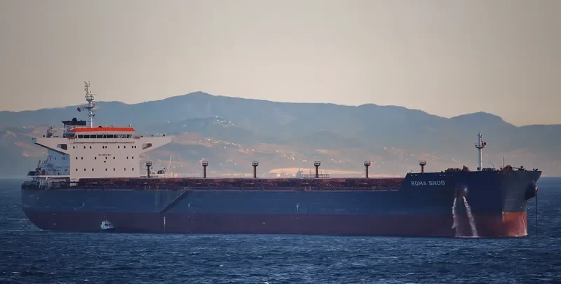 REGINA OLDENDORFF Bulk Carrier IMO 9535242 photo 7