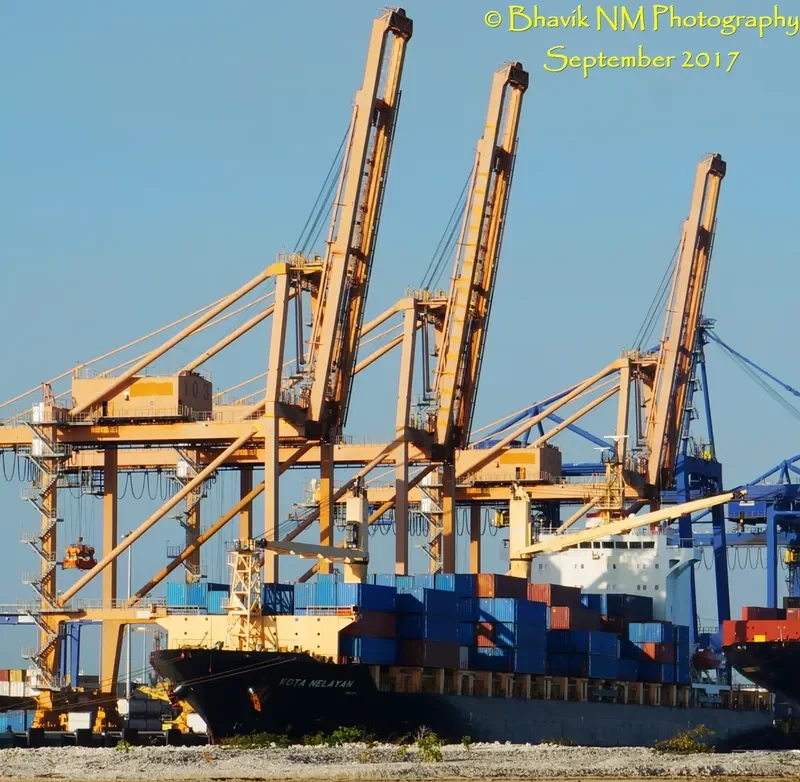 MELLUM Container Ship IMO 9535307 photo 4