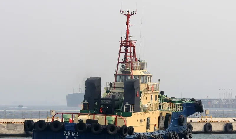 SUNJIN NO.801 General Cargo IMO 9535474 photo 3