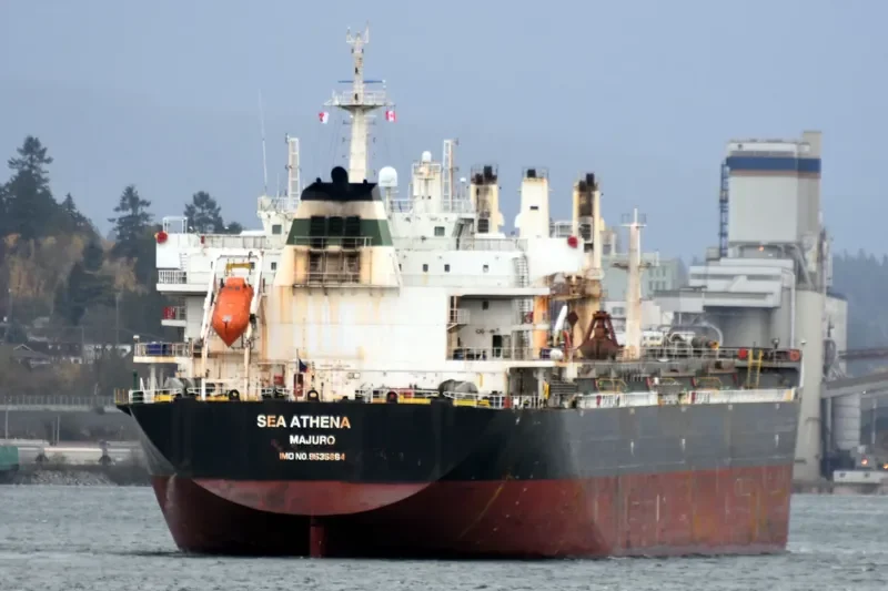 CHANG CHANG NAN HAI Bulk Carrier IMO 9535864