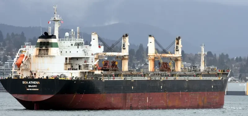 CHANG CHANG NAN HAI Bulk Carrier IMO 9535864 photo 2