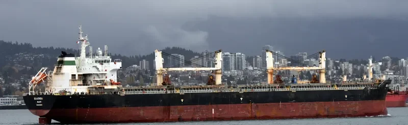 CHANG CHANG NAN HAI Bulk Carrier IMO 9535864 photo 3