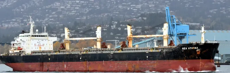CHANG CHANG NAN HAI Bulk Carrier IMO 9535864 photo 4