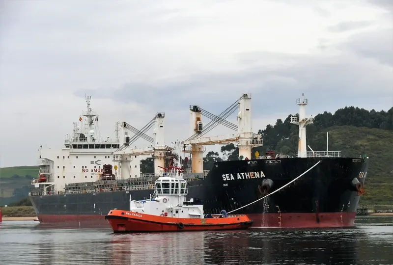 CHANG CHANG NAN HAI Bulk Carrier IMO 9535864 photo 7