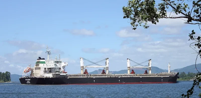 CHANG CHANG NAN HAI Bulk Carrier IMO 9535864 photo 8