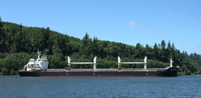 CHANG CHANG NAN HAI Bulk Carrier IMO 9535864 photo 9