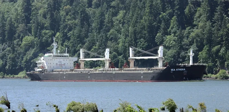 CHANG CHANG NAN HAI Bulk Carrier IMO 9535864 photo 10
