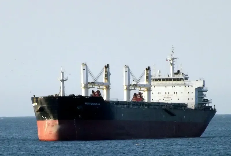 CHANG CHANG DONG HAI Bulk Carrier IMO 9535876 photo 2