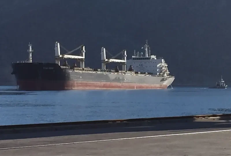 CHANG CHANG DONG HAI Bulk Carrier IMO 9535876 photo 3