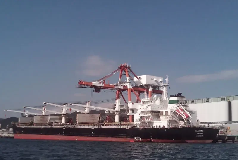 CHANG CHANG DONG HAI Bulk Carrier IMO 9535876 photo 4