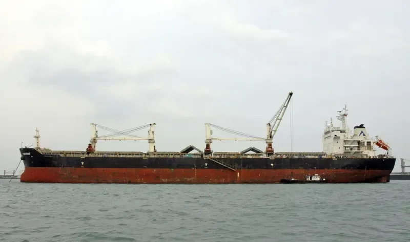 CHANG CHANG DONG HAI Bulk Carrier IMO 9535876 photo 6