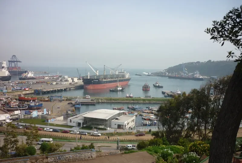 CHANG CHANG DONG HAI Bulk Carrier IMO 9535876 photo 9