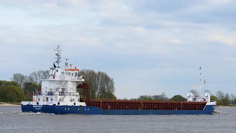 BIRGIT G General Cargo IMO 9536064 photo 8