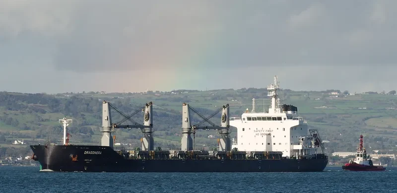 DRAGONERA Bulk Carrier IMO 9536428