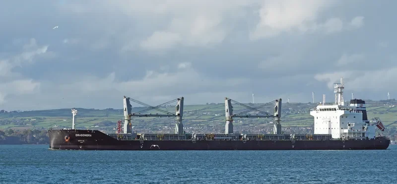 DRAGONERA Bulk Carrier IMO 9536428 photo 2