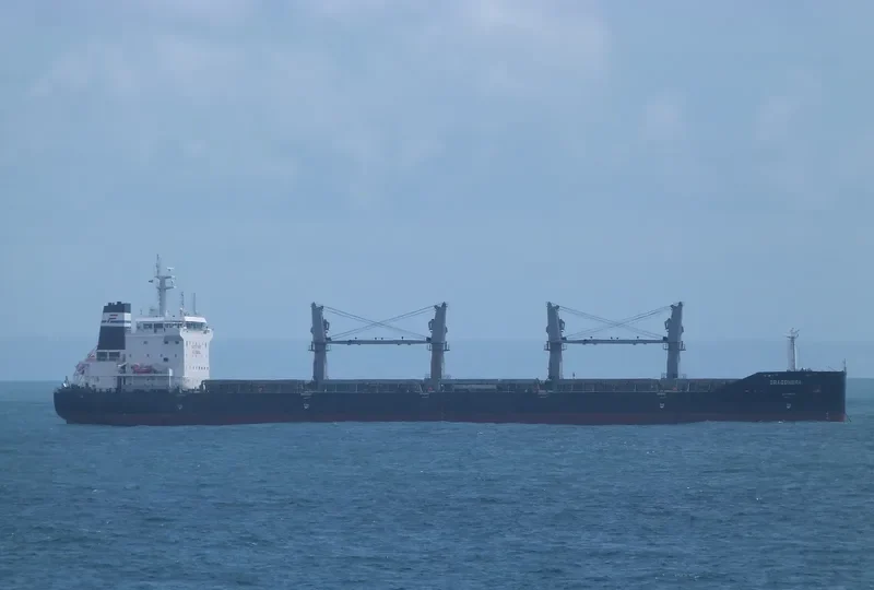DRAGONERA Bulk Carrier IMO 9536428 photo 3