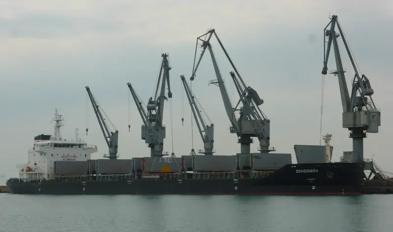 DRAGONERA Bulk Carrier IMO 9536428 photo 5