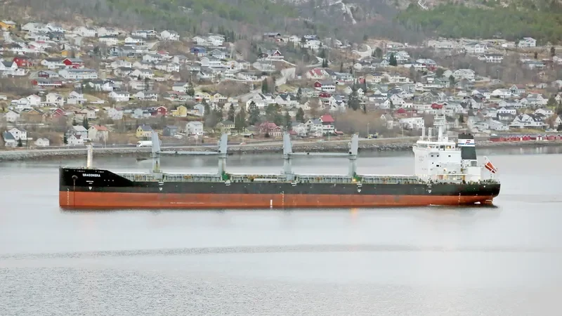 DRAGONERA Bulk Carrier IMO 9536428 photo 6