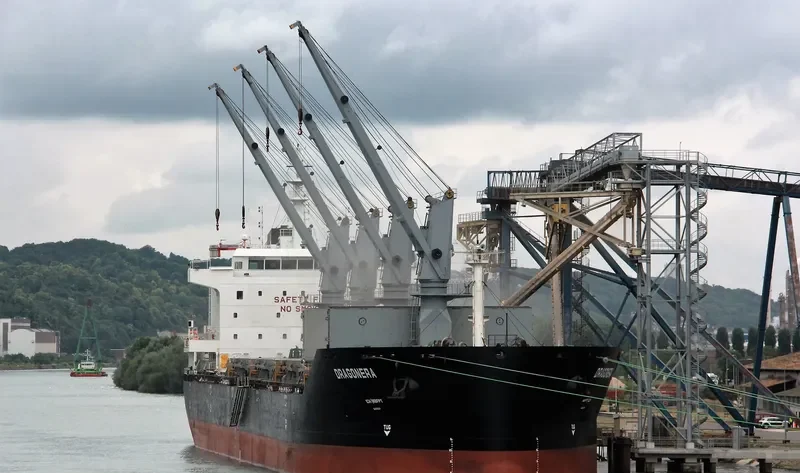 DRAGONERA Bulk Carrier IMO 9536428 photo 7
