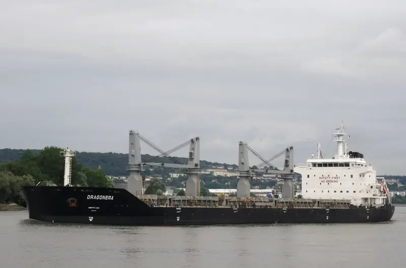 DRAGONERA Bulk Carrier IMO 9536428 photo 8