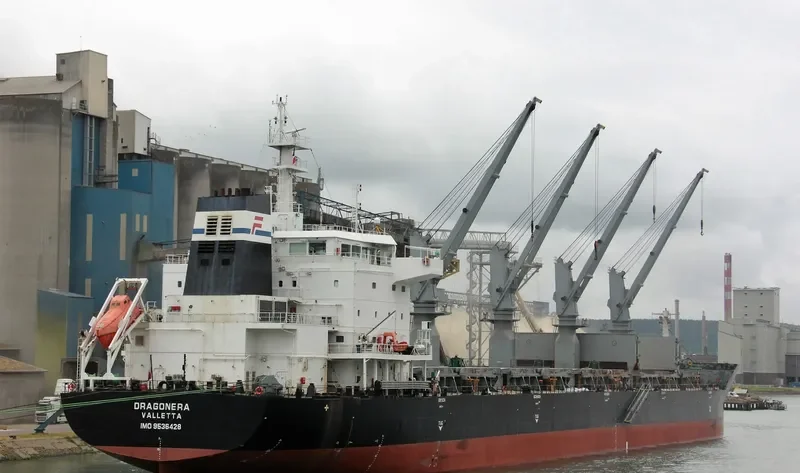 DRAGONERA Bulk Carrier IMO 9536428 photo 10