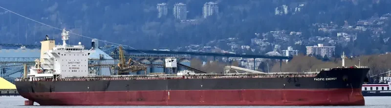 PACIFIC ENERGY Bulk Carrier IMO 9536430 photo 3