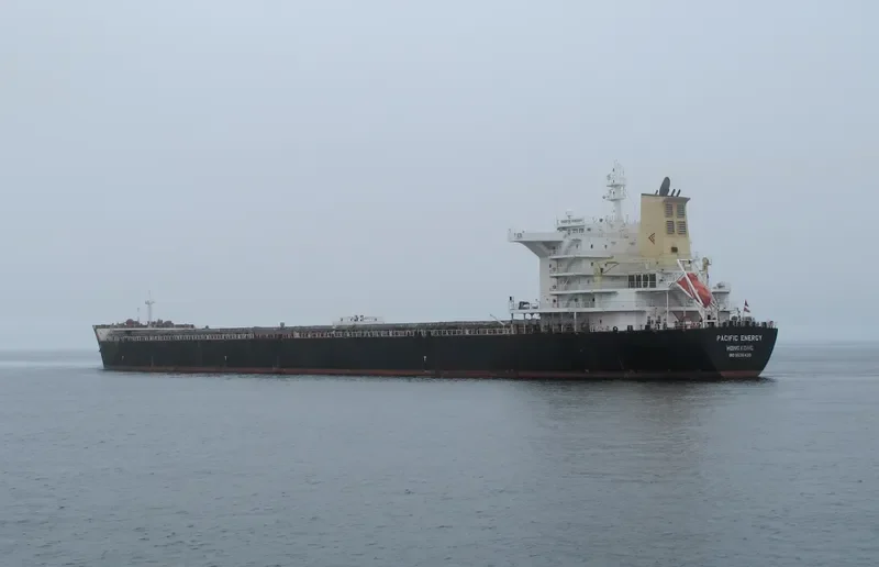 PACIFIC ENERGY Bulk Carrier IMO 9536430 photo 6
