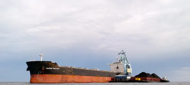 LEADING BRAVERY Bulk Carrier IMO 9536442