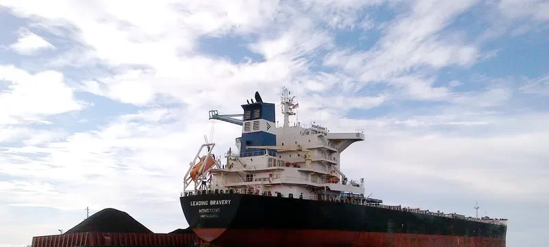 LEADING BRAVERY Bulk Carrier IMO 9536442 photo 3