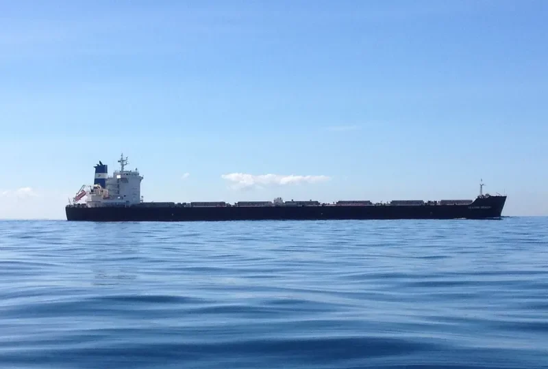 LEADING BRAVERY Bulk Carrier IMO 9536442 photo 4