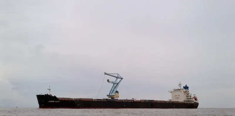 LEADING GLORY Bulk Carrier IMO 9536454