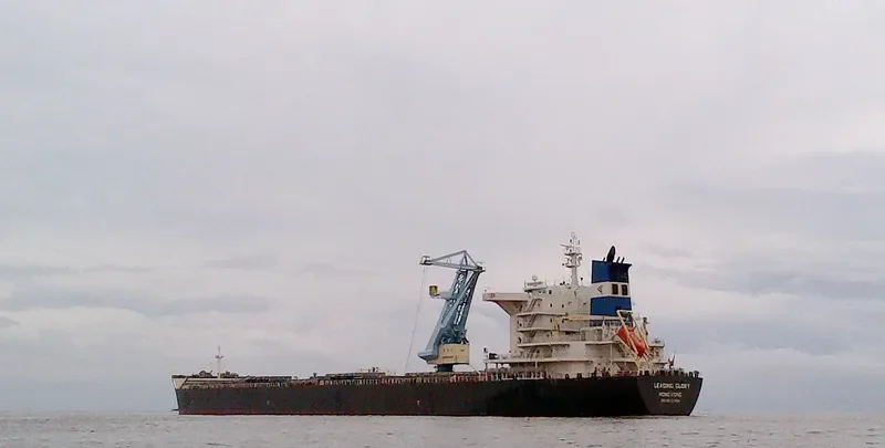LEADING GLORY Bulk Carrier IMO 9536454 photo 3