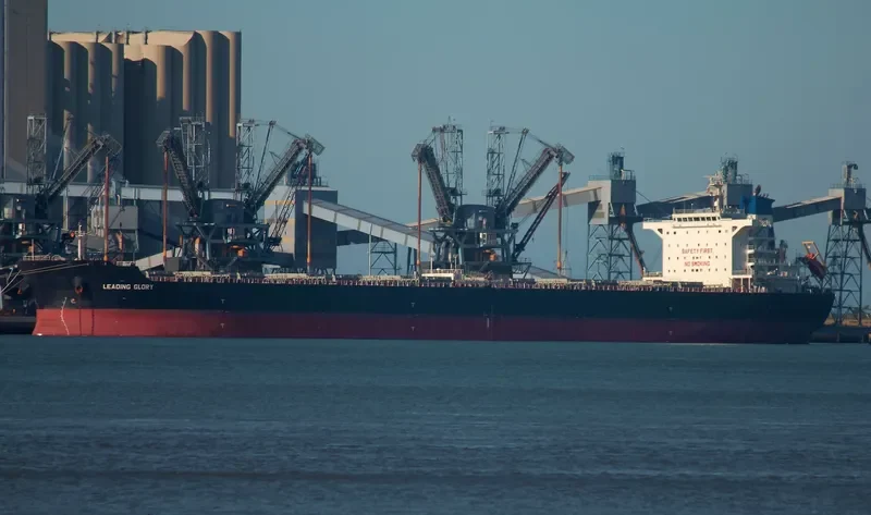 LEADING GLORY Bulk Carrier IMO 9536454 photo 6