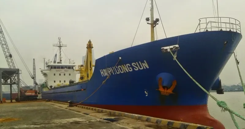 HAI PHUONG SUN General Cargo IMO 9536569 photo 4