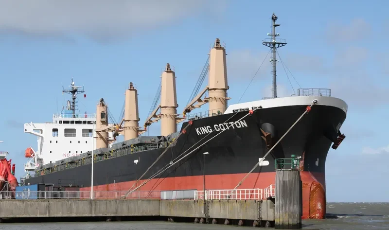 MANTA MELEK Bulk Carrier IMO 9536856