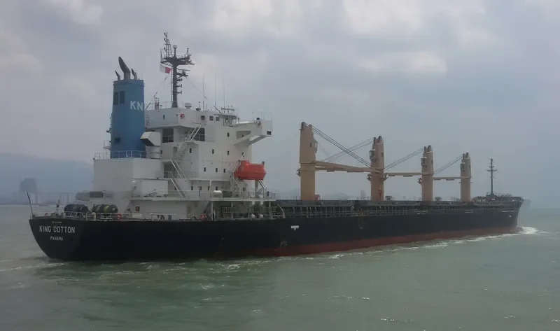 MANTA MELEK Bulk Carrier IMO 9536856 photo 2