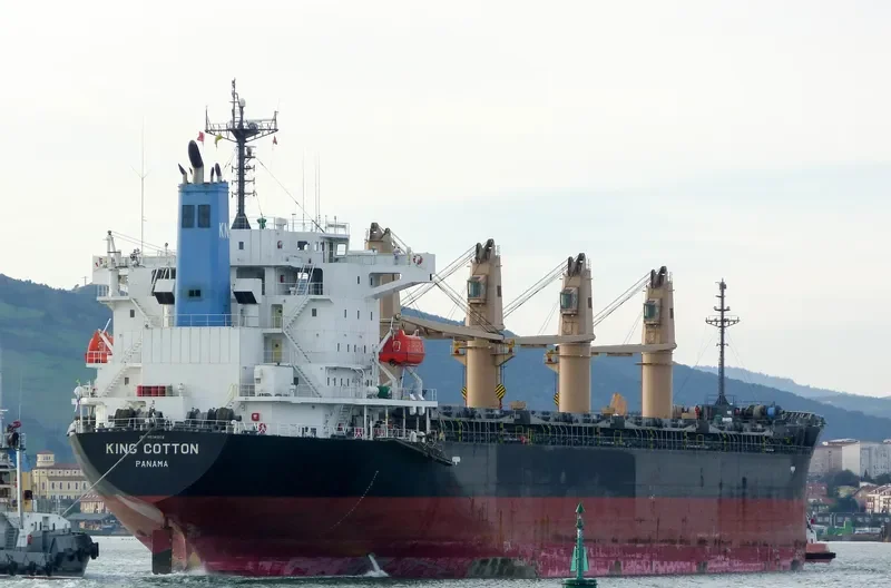 MANTA MELEK Bulk Carrier IMO 9536856 photo 3