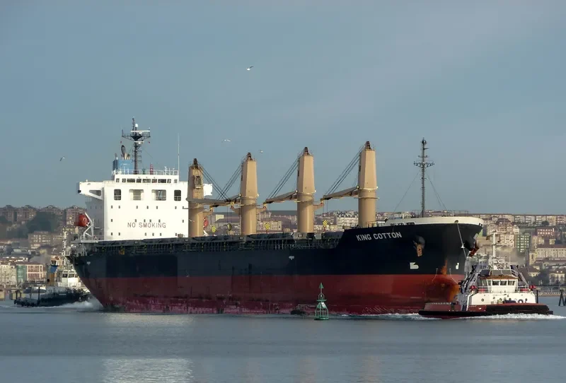 MANTA MELEK Bulk Carrier IMO 9536856 photo 4